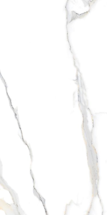 Matrix Statuario Fantasia Polished 24 x 48